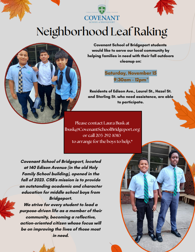 Neighborhood Leaf Raking